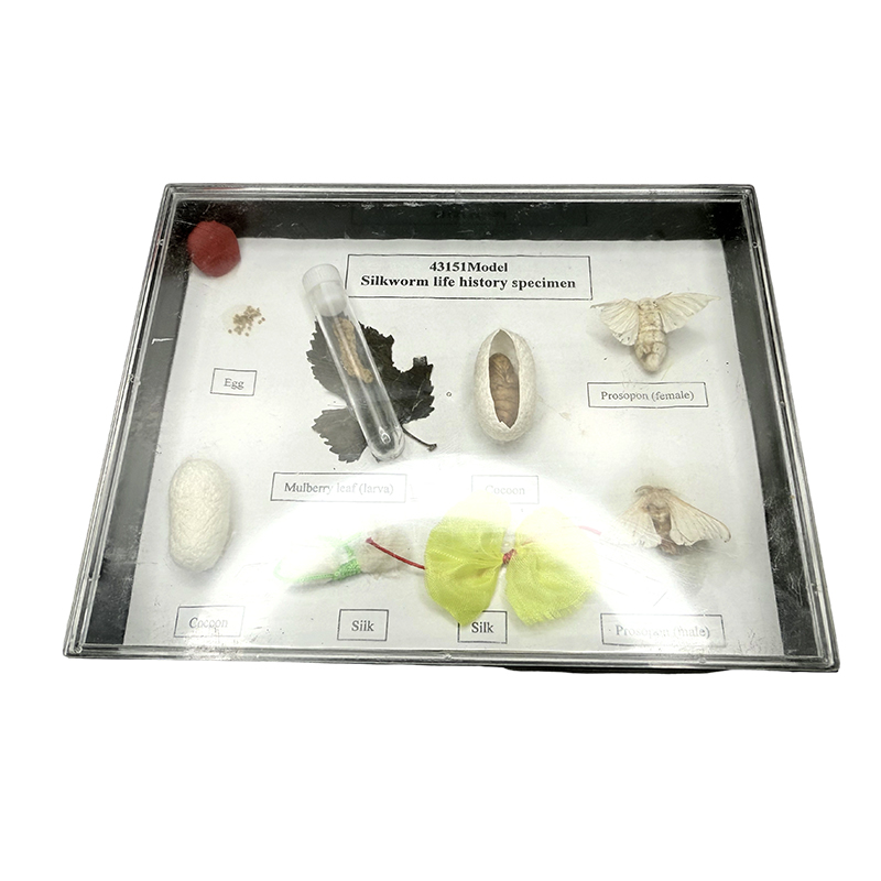 Образцы шелкота Образцы шелкота