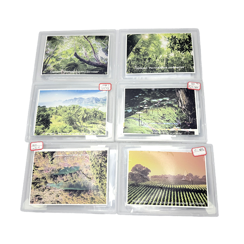 Гербарий Гербарий