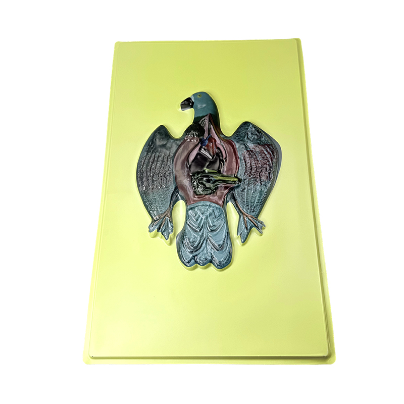 Модель рельефа голубя