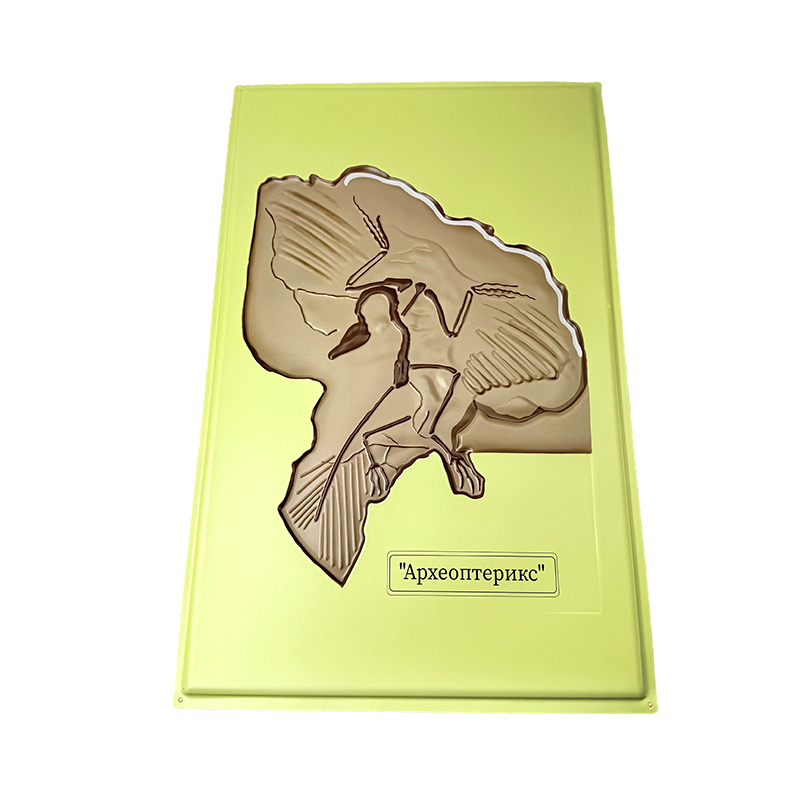 Модель помощи археоптерикса