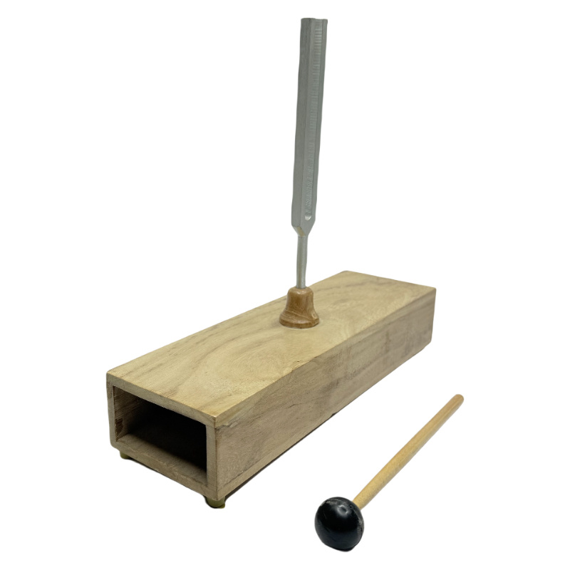 Настройка вилки / физические лабораторные инструменты (256 Гц) Настройка вилки / физические лабораторные инструменты (256 Гц)